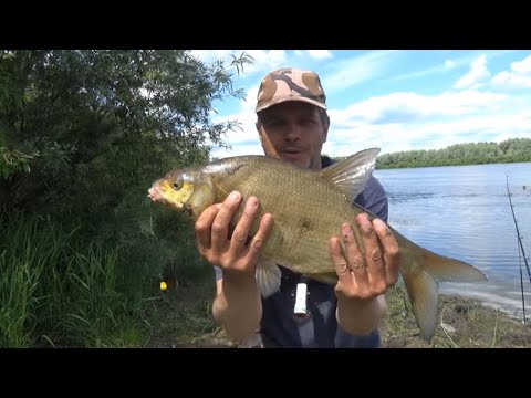 Видео: Ловля ЛЕЩА на КОРОТКИЕ ПОВОДКИ или СИЛИК.КУКУРУЗА/ПЕНОПЛАСТ/САЛО! Рыбалка На Оке 2022!