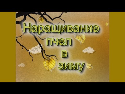 Видео: Надо ли наращивать пчел в зиму