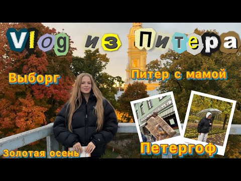 Видео: VLOG из Санкт- Петербурга, посетили Выборг и Петергоф, встречаем золотую осень 