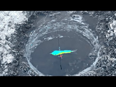 Видео: Первый лёд на Глубоком омуте. УСПЕЛ на утренний Клёв! 🐟 Окунь на балансир. Рыбалка