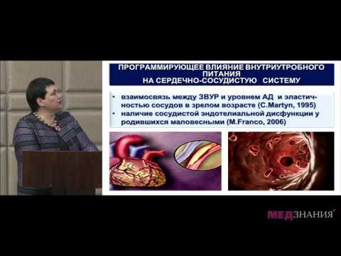 Видео: 2  Захарова И Н