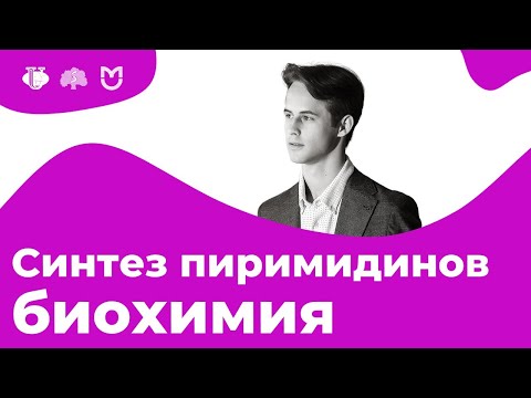 Видео: Биосинтез пиримидиновых нуклеотидов. Регуляция. Оротацидурия. | На Биохимическом