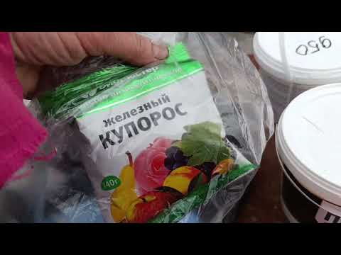Видео: Чё купила?Для осенней обработки старых деревьев.24.10.25.Сев.Каз.