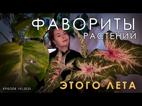 Видео: ФАВОРИТЫ | РАСТЕНИЯ которые я ОБОЖАЛА этим летом