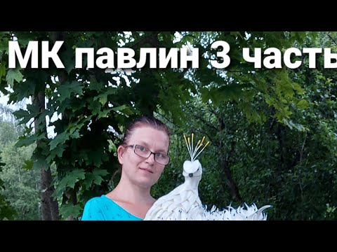 Видео: Мастер класс павлин 3 часть!