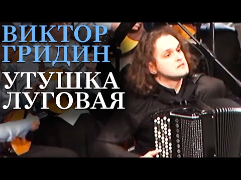 Видео: ГРИДИН - УТУШКА ЛУГОВАЯ | ЮРИЙ МЕДЯНИК И ОРКЕСТР НАРОДНЫХ ИНСТРУМЕНТОВ КУРСКОЙ ФИЛАРМОНИИ