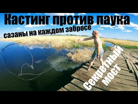 Видео: Кастинговая сеть американка против паука ЕКЛМН Сазан на кастинговую сеть Кто поймает больше сазанов