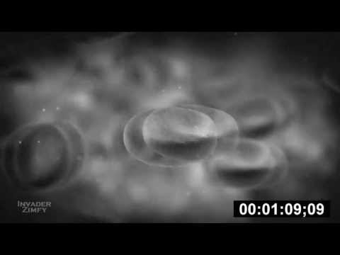 Видео: SCP 008 Чума зомби