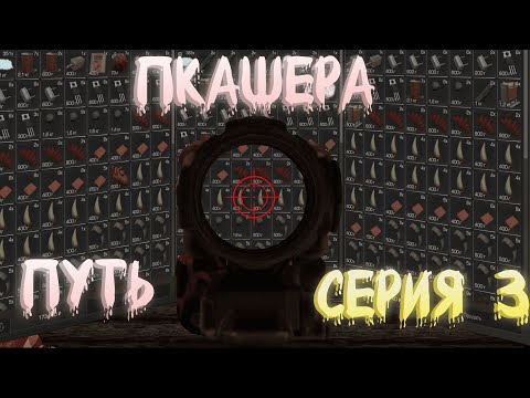 Видео: ПКАШЕРСТВО С НУЛЯ | ВЫНОСЫ STALCRAFT | СЕРИЯ #3