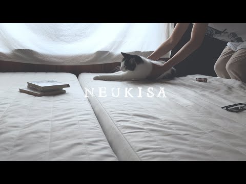 Видео: Влог / 4 утра, Летний день начинается с кошачьей сигнализации.