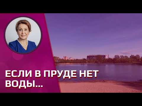 Видео: ЕСЛИ В ПРУДЕ НЕТ ВОДЫ…