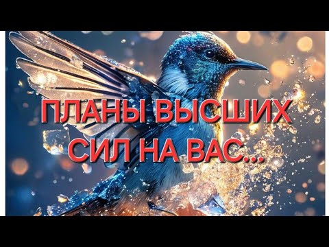 Видео: ⚡️ПОТРЯСАЮЩИЕ ПЛАНЫ ВЫСШИХ СИЛ НА ВАС💞💫#события #будущее #судьба #tarot #предсказание #тароонлайн