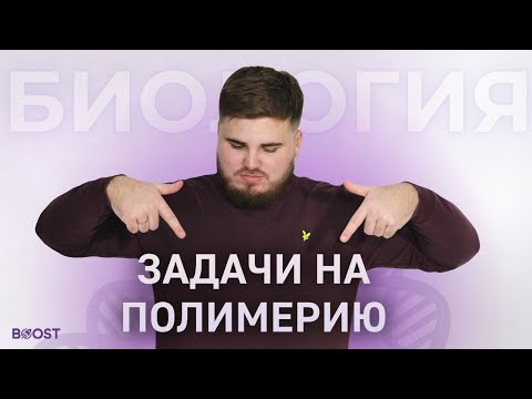 Видео: ЗАДАЧИ НА ПОЛИМЕРИЮ ЕГЭ БИОЛОГИЯ 2025!!!