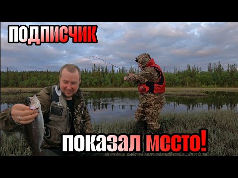 Видео: Удочка и СПИННИНГ. СУПЕР КЛЁВ. ФОРЕЛЬ, ЩУКА, ОКУНЬ.