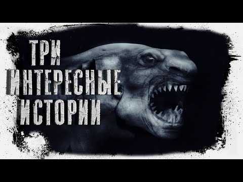 Видео: Три интересные истории | Миля | Чеширко | Абалкин