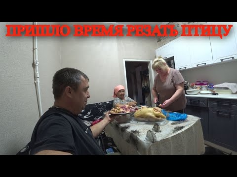 Видео: ИСПЕКЛИ ПИЦЦУ /  ДЕЛАЮ ПРОЁМ ПОД ДВЕРИ / ВЫПИЛИВАЮ САДОК / СПАХАЛИ ОГОРОД / ЗАПЕКЛИ ГУСЯ В ДУХОВКЕ