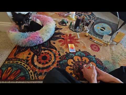 Видео: В любом случае вы получите этот новый цикл.