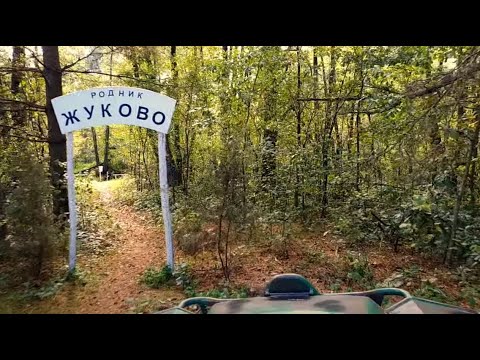 Видео: повторяйте, не пожалеете - истинное удовольствие