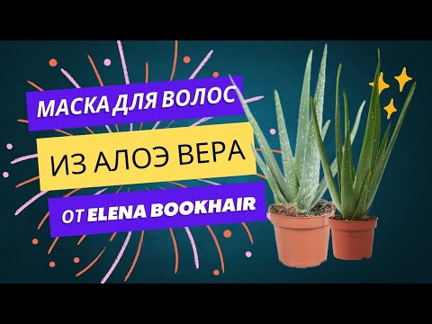 Видео: МАСКА ДЛЯ ВОЛОС ИЗ АЛОЭ ВЕРА ОТ ELENA BOOKHAIR