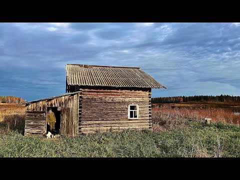 Видео: Жизнь в тайге. Готовимся к зиме. Планы на будущее.