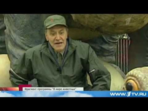 Видео: Юбилей Николая Дроздова (В мире животных) ! 75 лет!