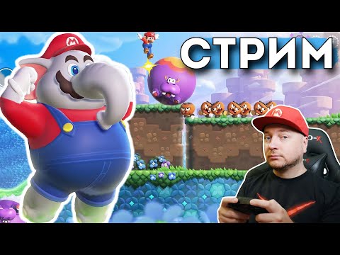Видео: SUPER MARIO BROS. WONDER - прошёл первые три мира (и начало четвёртого) // DenisMajor