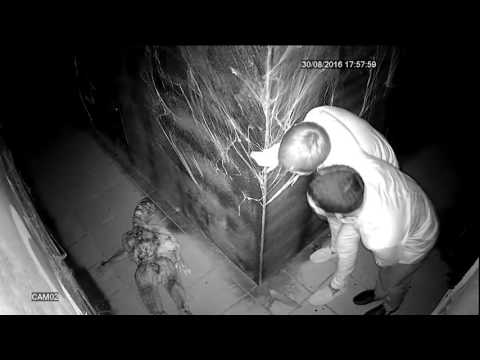 Видео: 437_4930 Дом Страхов Оренбург