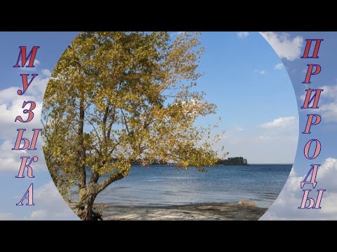 Видео: Любуемся природой!