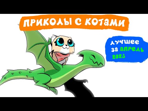 Видео: Приколы с котами. ЛУЧШЕЕ ЗА АПРЕЛЬ 2023 | Мемозг