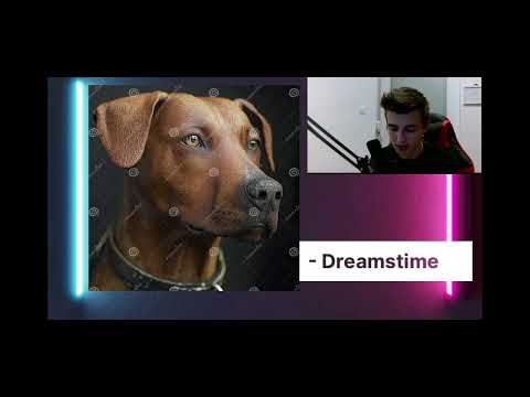 Видео: DREAMSTIME - ОБЗОР | Заработок на стоках - Эксперимент | Выпуск 2