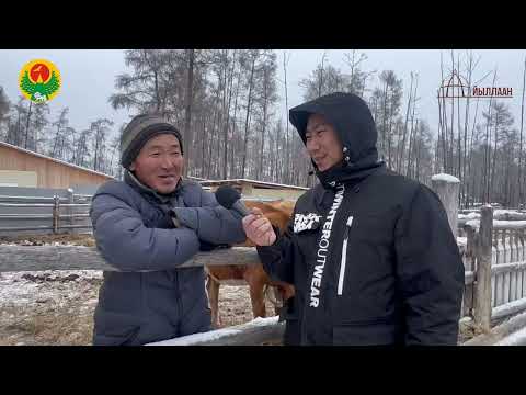 Видео: "Сайда тур тыам сирэ" Тыа хаһаайыстыбатын күнүгэр аналлаах биэрии