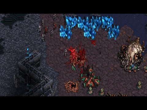 Видео: StarCraft: Brood War - ToT}Midian{ vs xLo.Fenix - карта WCG Paranoid Android версия 1.0