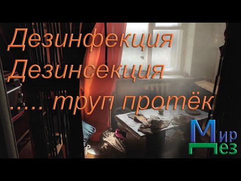 Видео: Дезинфекция, дезинсекция, устранение запаха МирДез. Учимся.