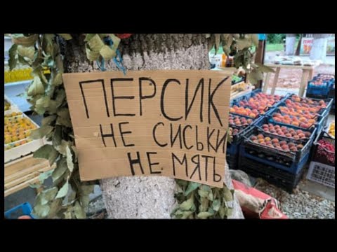 Видео: 8.09.2025г. Запись того что не попало в эфир когда пропал мегафон. Температура моря и рынок. 