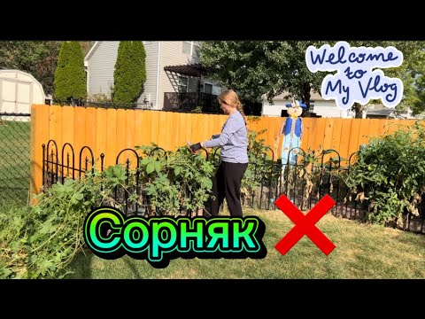 Видео: УБОРКА НА ОГОРОДЕ #iowa #life #vlog #usa #garden #сорняки #сша