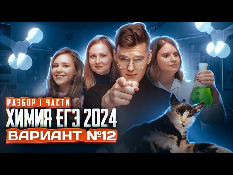 Видео: Вариант №12 ЕГЭ по ХИМИИ 2024, Степенин и Дацук | Анна, Влад, Варя и Катя с химфака МГУ