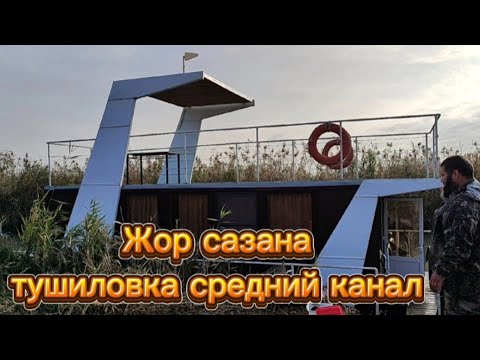 Видео: Жор сазана начался в конце октября Тушиловка