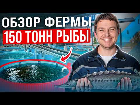 Видео: Это перевернет ваш взгляд на разведение рыбы уже СЕГОДНЯ / СЕКРЕТЫ крупнейшей УЗВ фермы Поволжья
