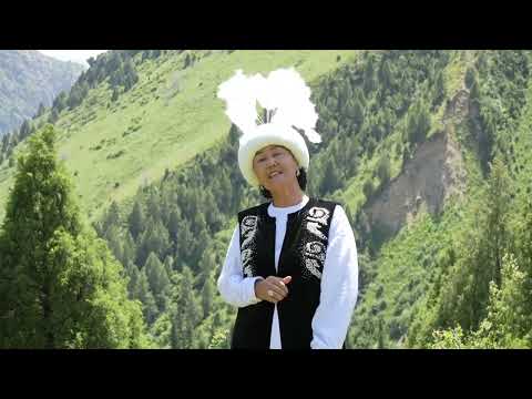 Видео: Жанар тоо