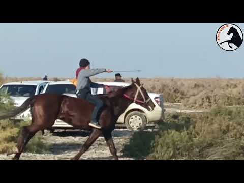 Видео: Қоңырат Азизбек сүндет той 31 - октябрь 2024