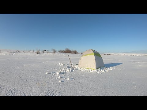 Видео: Приехал проверить ее снова. Рыбалка на кивок. Мормышка. Рыбалка 2025.Рыбалка в палатке.