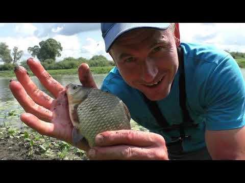 Видео: Рыбалка КРУПНЫЙ КАРАСЬ, ЩУКА НА УДОЧКУ! Ловля рыбы на донку и на удочку! Щука на живца!