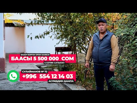 Видео: 7 ноября 2025 г.