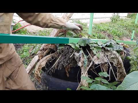 Видео: Установка забора в болото!!!