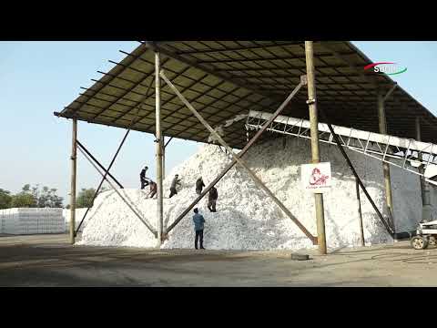 Видео: Дар ноҳияи Мастчоҳ наздик 22 ҳазор тонна пахта истеҳсол гардид.