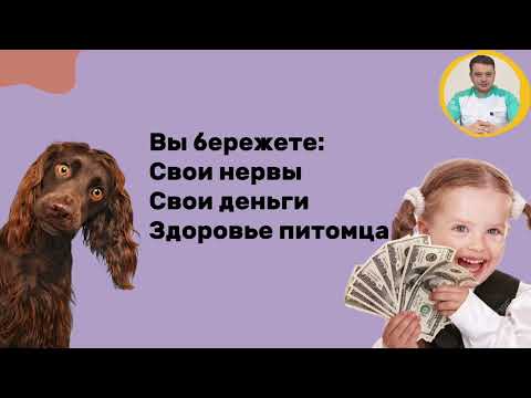 Видео: Почему кошки и собаки кашляют?
