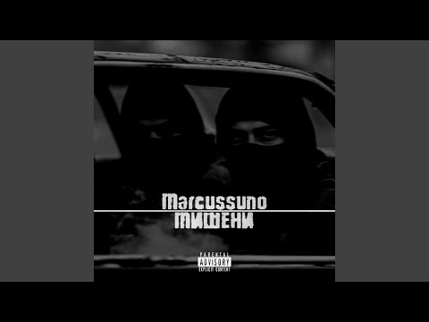 Видео: Мишени