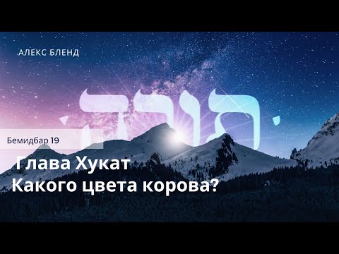 Видео: Недельная глава Хукат. Какого цвета корова? Бемидбар 19:1-22