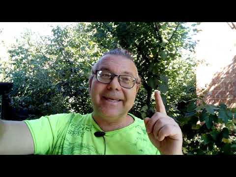 Видео: Почему мы спешим? Спешка это страх! Что такое Время!