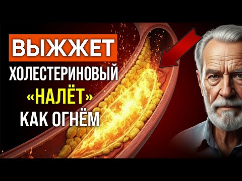 Видео: СЕРДЦЕ заработает КАК ЧАСЫ! Легендарная КАША кардиохирурга Амосова | Чистит сосуды от холестерина